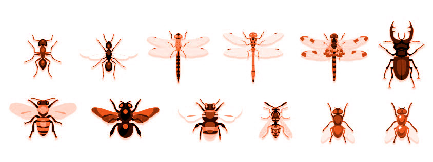 algunas de las plagas más comunes en primavera son las de cucarachas, ratones, pulgas, hormigas, avispas y chinches